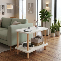 2-Tier Modern Coffee Table with Storage Shelf 60X30X53 CM