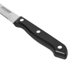 Kitchen Fruit Knives 23 cm - 6 Pcs