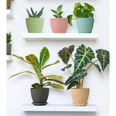 Plastic Round Flower Pots 5PCS Set
