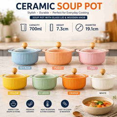 Ceramic Soup Pot with Glass Lid