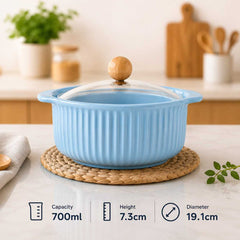 Ceramic Soup Pot with Glass Lid