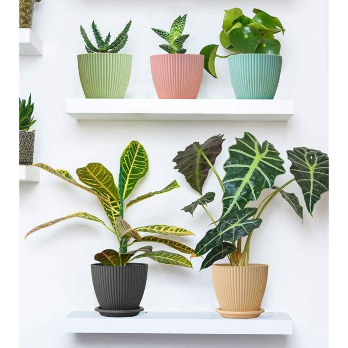 Plastic Round Flower Pots 5PCS Set